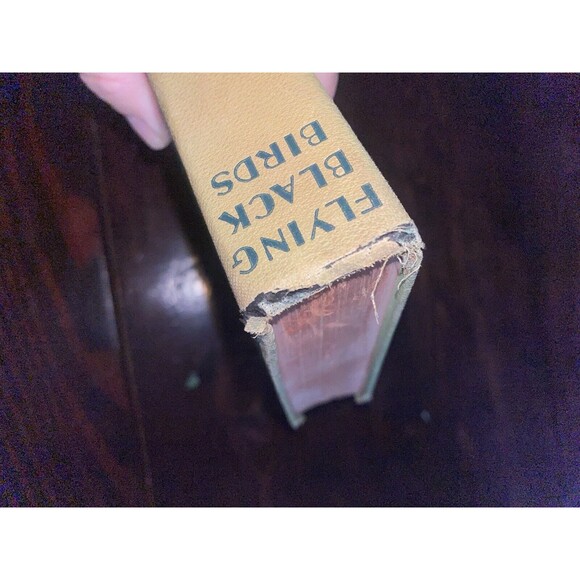 FLYING BLACK BIRDS THOMSON BURTIS AIR COMBAT PLANES 1932 HARDCOVER BOOK Vintage - Picture 6 of 9